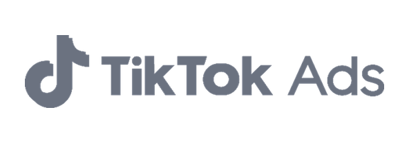 TikTok Ads
